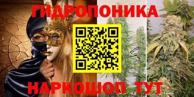 spice Кандалакша