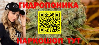 сатива Камышлов