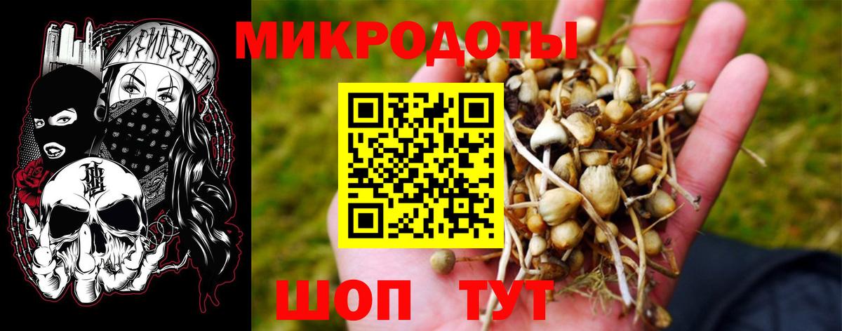 Псилоцибиновые грибы Psilocybe  Вход с VPN  дарнет шоп  Галлюциногенные грибы Psilocybe  Луховицы 